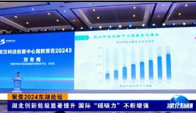 聚焦2024东湖论坛 | 湖北创新能级显著提升 国际“磁吸力”不断增强