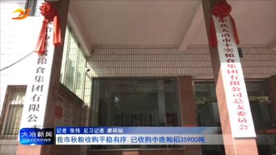 我市秋粮收购平稳有序 已收购中晚籼稻35900吨