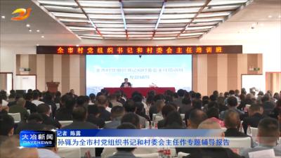 孙辄为全市村党组织书记和村委会主任作专题辅导报告