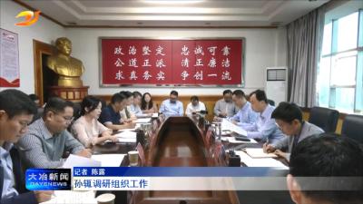 孙辄调研组织工作