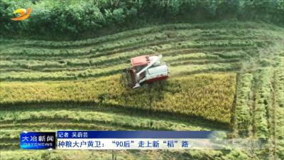 种粮大户黄卫：“90后”走上新“稻”路
