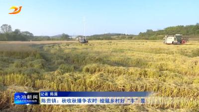 陈贵镇：秋收秋播争农时 绘就乡村好“丰”景