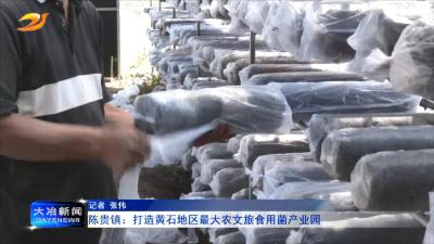 陈贵镇：打造黄石地区最大农文旅食用菌产业园