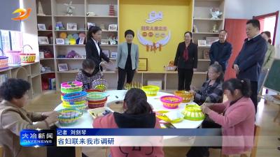 省妇联来我市调研
