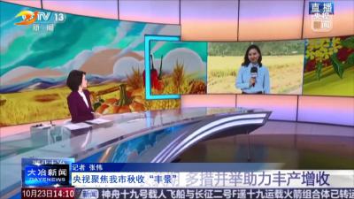 央视聚焦我市秋收“丰景”