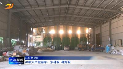 种粮大户程丽军：多种粮 种好粮