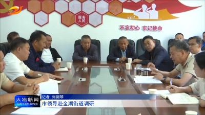 市领导赴金湖街道调研