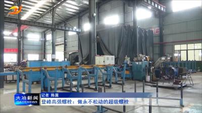 登峰高强螺栓：做永不松动的超级螺栓