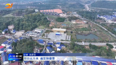 朋自远方来   遍览铜都景