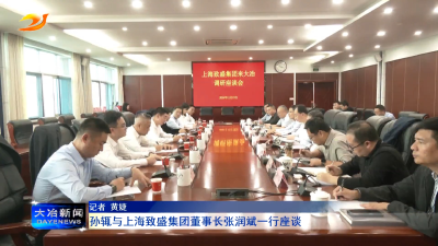 孙辄与上海致盛集团董事长张润斌一行座谈