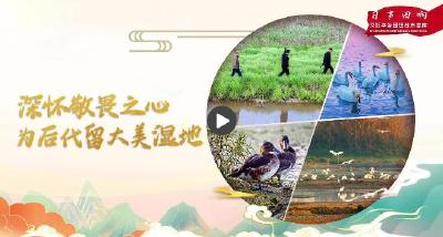 深怀敬畏之心 为后代留大美湿地