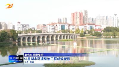 红星湖水环境整治工程成效渐显