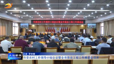 市委农村工作领导小组会议暨全市强县工程工作推进会召开