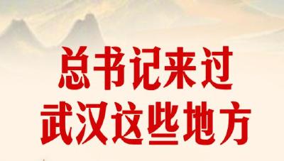 习近平总书记六次亲临武汉，来过这些地方