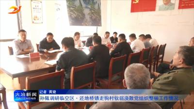 孙辄调研临空区还地桥镇走驹村软弱涣散党组织整顿工作情况