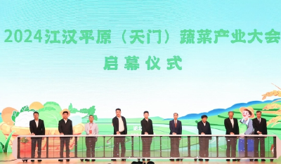 2024江汉平原（天门）蔬菜产业大会开幕