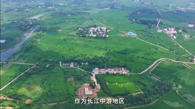 “上古谜城”天门石家河：长江中游地区史前文明“富矿”