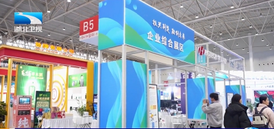 深化部省合作 打造高素质技能人才队伍促进高质量充分就业 王晓萍在鄂调研 王忠林参加