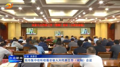我市集中收听收看全省人大代表工作（视频）会议