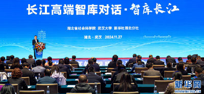 长江高端智库对话•智库长江分论坛在武汉举行