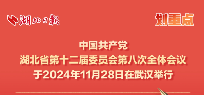 划重点丨中共湖北省委十二届八次全体会议精神解读（手账版）