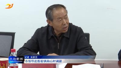 市领导赴殷祖镇南山村调研