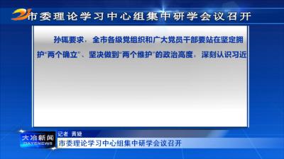 市委理论学习中心组集中研学会议召开