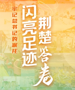 牢记总书记的嘱托 | 闪亮足迹 荆楚答卷