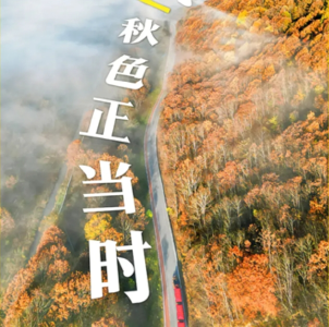 出发！去南方Countrywalk