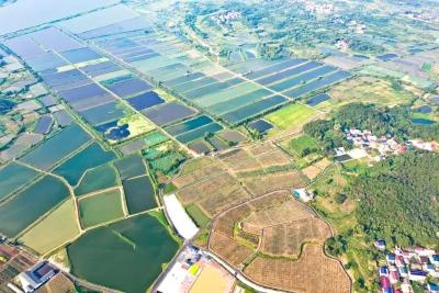 湖北大冶：以水定城 绿满铜都