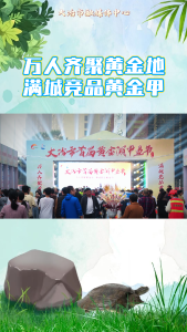 万人齐聚黄金地 满城竞品黄金甲—2024年大冶市首届黄金湖甲鱼节开幕！！