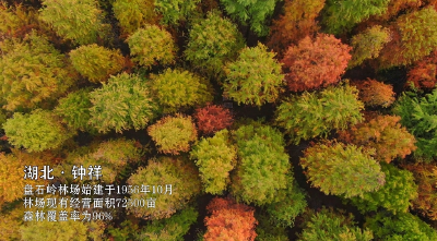 湖北钟祥：漫步诗画盘石岭