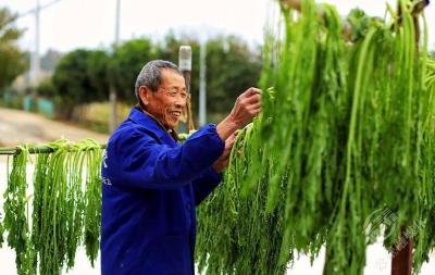 咸宁赤壁：大雪时节悄来临，万物收藏待春生