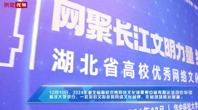 传播网络文化，它们有何“流量密码”