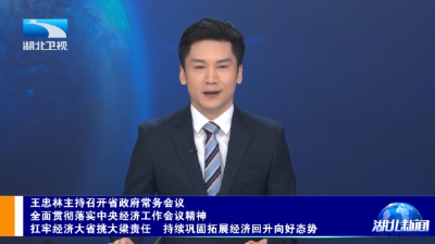 王忠林主持召开省政府常务会议