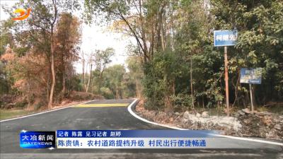 陈贵镇：农村道路提档升级 村民出行便捷畅通