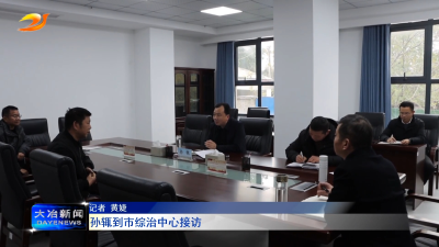 孙辄到市综治中心接访