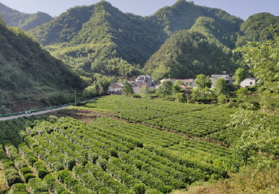 走笔十堰南三县：堵河深处有桃源