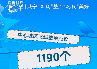 数据背后看实干 | 咸宁“飞线”整治让天空“无线”美好