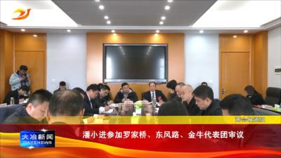 潘小进参加罗家桥、东风路、金牛代表团审议