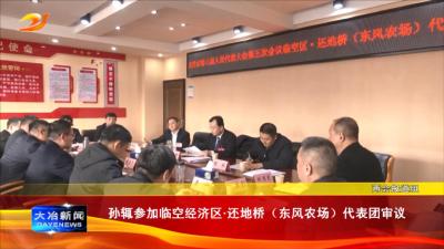 孙辄参加临空经济区还地桥（东风农场）代表团审议