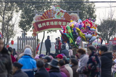 襄阳南漳：腊月乡村赶大集 烟火气里品年味