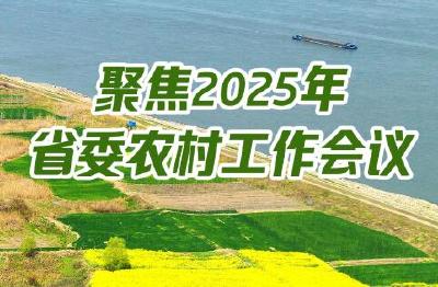聚焦2025年湖北省委农村工作会议