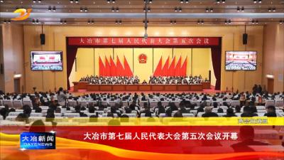 大冶市第七届人民代表大会第五次会议开幕