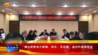 潘小进参加大箕铺、保安、东岳路、金山代表团审议