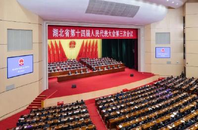 湖北省十四届人大三次会议胜利闭幕 王忠林主持大会并讲话