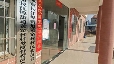【新春走基层】湖北应城：黄窑村便民服务大厅“不打烊”