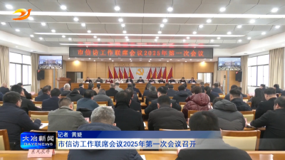 市信访工作联席会议2025年第一次会议召开