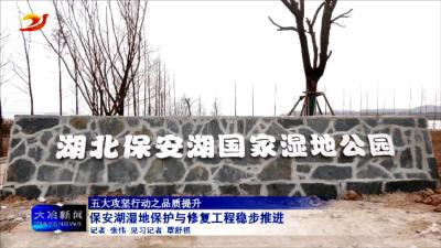 保安湖湿地保护与修复工程稳步推进