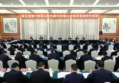王忠林参加省十四届人大三次会议宜昌代表团审议